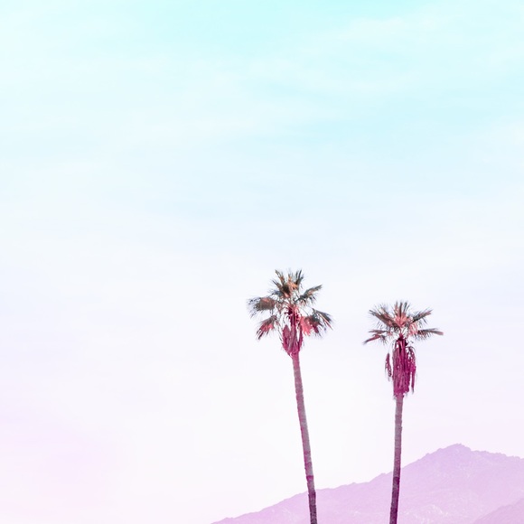 Meet your Posher, Dalyn - Picture 1 of 1